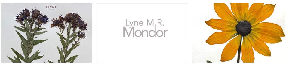 Mondor